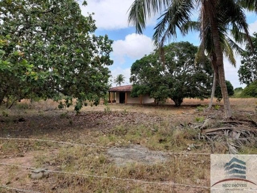 Imagem 1 de 1 de Granja A Venda Em Mangabeira, Macaíba