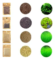 Comprar Juego De 4 Semillas Para Plantas De Acuario, No Plantas De O