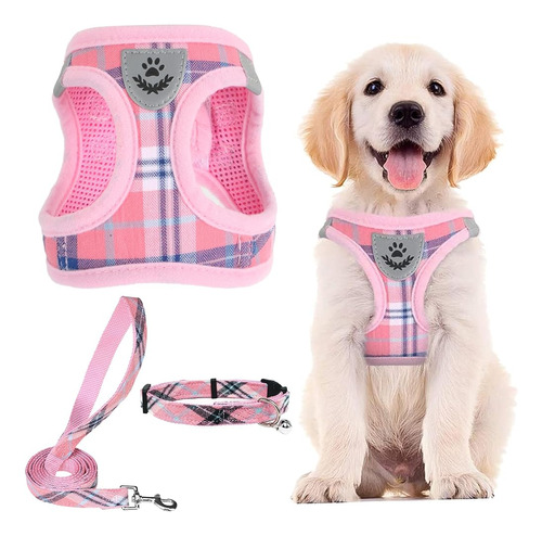 Pupteck Juego De Arnés Ajustable Para Perros Y Collar De Cor