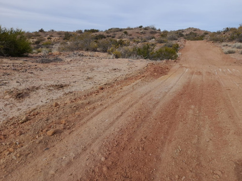 Lote En Neuquén - Loteo Sauro Ecoestancias Del Limay - Lotes Desde 1 Hectárea