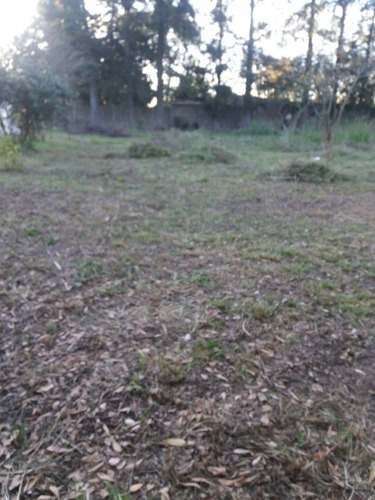 Imagen 4 de 19 de Terreno 107x81 Metros Virreydel Pino