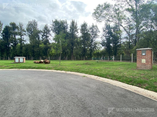 Imagen 2 de 3 de Terreno - Santo Tomás