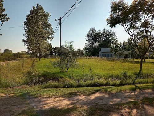Imagen 4 de 4 de Terreno - La Capital
