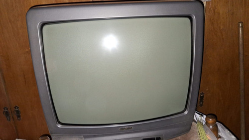 Sanyo Televisor Color Con Control Remoto (Usado)