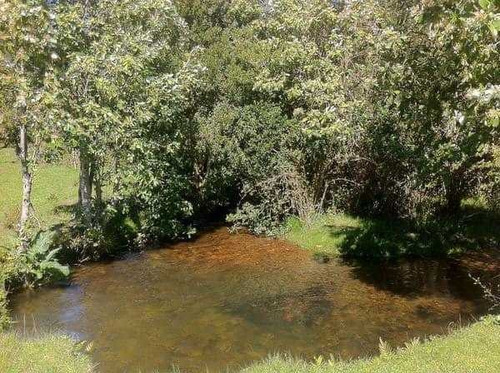 Excelente Terreno En Venta En Pucón / Sector Menetúe