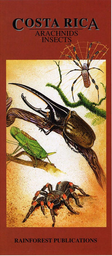 Libro: Costa Rica Arachnids & Insects Wildlife Guide (lamina