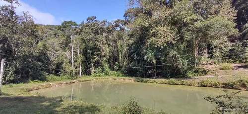 Imagem 6 de 14 de Miracatu 03 Alq/casa/lago, Lazer/morar/plantar/ref:05239