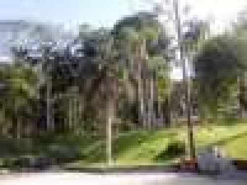 Imagem 13 de 14 de Ref.: 2296 - Chacara Em Vargem Grande Paulis Para Venda - V2296