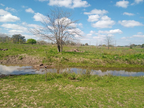 Imagen 13 de 30 de Campo En Venta Zona Polo, Pilar, Con 2 Canchas De Polo Y Varias Mejoras
