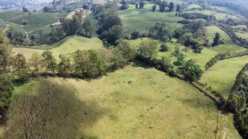 Vendo Permuto Finca Líbano Tolima