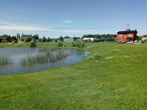 Imagen 11 de 23 de Terreno - Lote A La Laguna - Santa Isabel
