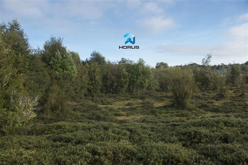 Imagen 11 de 24 de Sitio En Venta En Calbuco