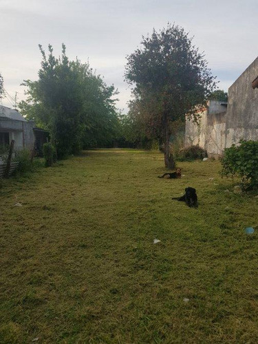 Lote De 600m2 En Venta En Luis Guillon