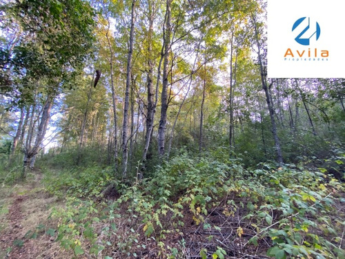 Caburgua Venta Lote Zona Urbana 2.104m2 Cod.vtin081