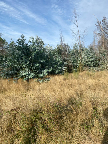 Vendo Parcela 1 Ha A 4,5 Km Peaje Lateral Rafael Oriente