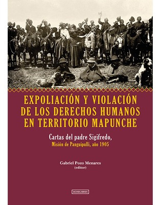 Expoliación Y Violación De Los Dd.hh. En Territorio Mapunche