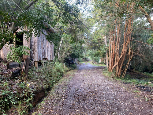 Propiedad En Venta En Lago Totoral En Puelo