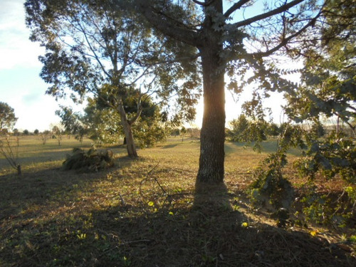 Terreno En Venta En Fraccion Iii