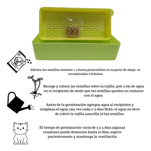 Germinador De Hierva Gatera Maceta Con Semillas Para Katnip