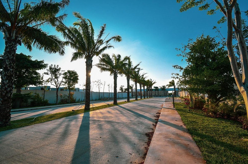 Lote En Venta En Mérida En Privada Zentura En Cholul