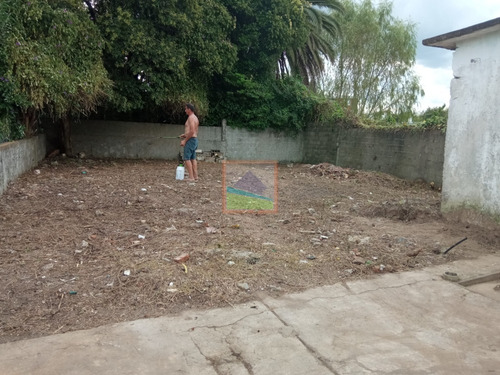 Imagen 4 de 14 de Casa Y Local Comercial En San Carlos Maldonado