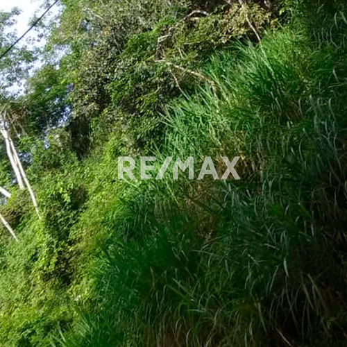 Imagen 4 de 5 de En Venta Terreno En El Amarillo