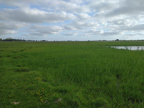 Campo Mixto En Chascomús - Permuta En La Plata