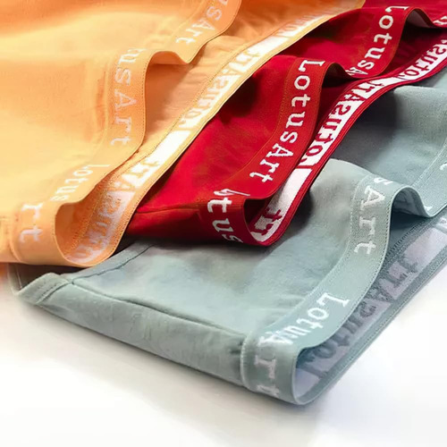 3 Pcs Ropa Interior De Algodón Para Mujer En Tallas Grandes