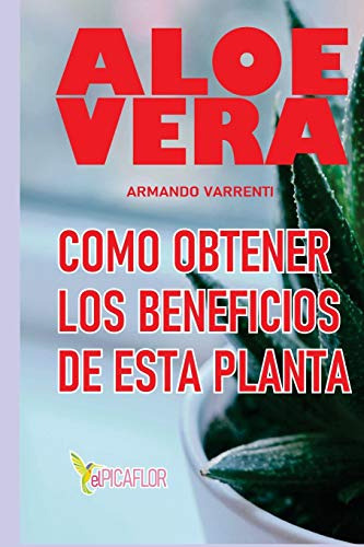Aloe Vera: La Planta Medicinal Mas Eficiente Y Usada Por T 