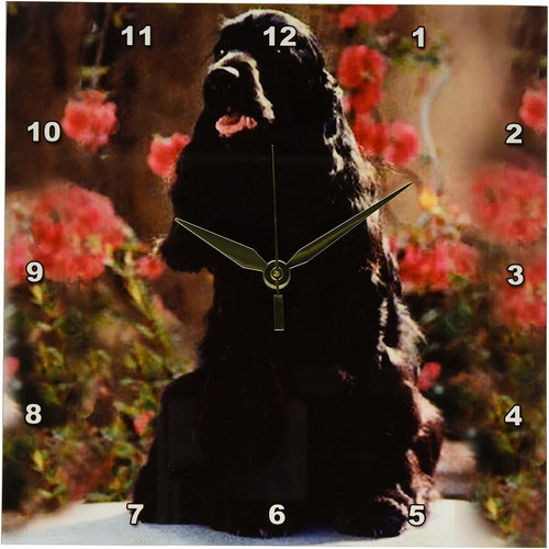 Llc Ingles Cocker Spaniel Reloj De Pared Negro  Por  Pu...