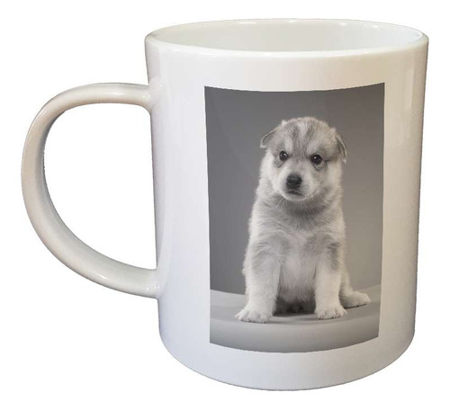 Taza De Plastico Perros 3 Cachorro Orejas Caidas