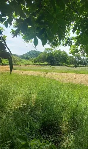 Venta Lotes En Agua De Dios