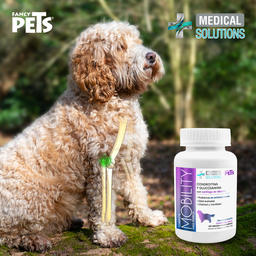 Complete Mobility Perros C/condroitina Y Glucosamina 60 Tab