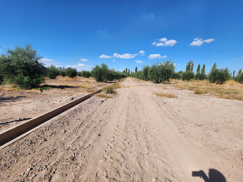 Finca Con Grandes Construcciones De Depositos, Establo ,tambo Y Criadero