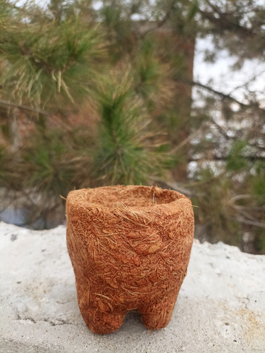 Maceta Biodegradable Coco Molcajete Café Molcajete