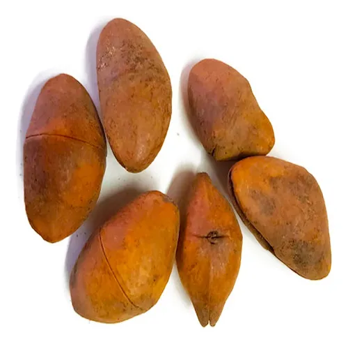 comprar Semillas De Camalonga 12 Unidades, Antiinflamatorio Natural