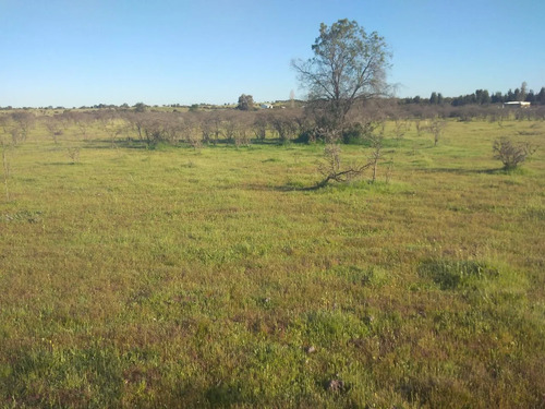Se Vende Parcela 5000m2 Terreno Plano