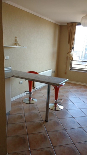 Arriendo Buen Depto A Pasos Centro Concepción