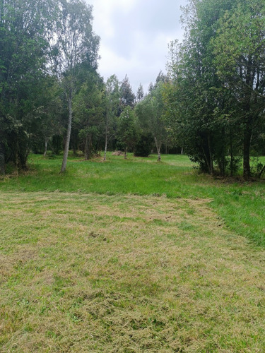 Hermosa Parcela Comuna Fresia Colonia La Isla