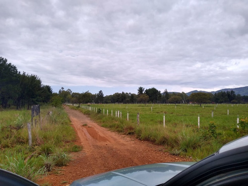 Imagen 17 de 27 de Finca En Venta En La Raya San Timoteo, Zulia