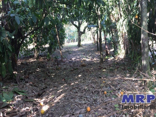Imagem 3 de 12 de Terreno Em Ubatuba, Com Natureza Exuberante, Acesso Ao Rio, 1.500m², Bairro Residencial. - Te00142 - 34370754