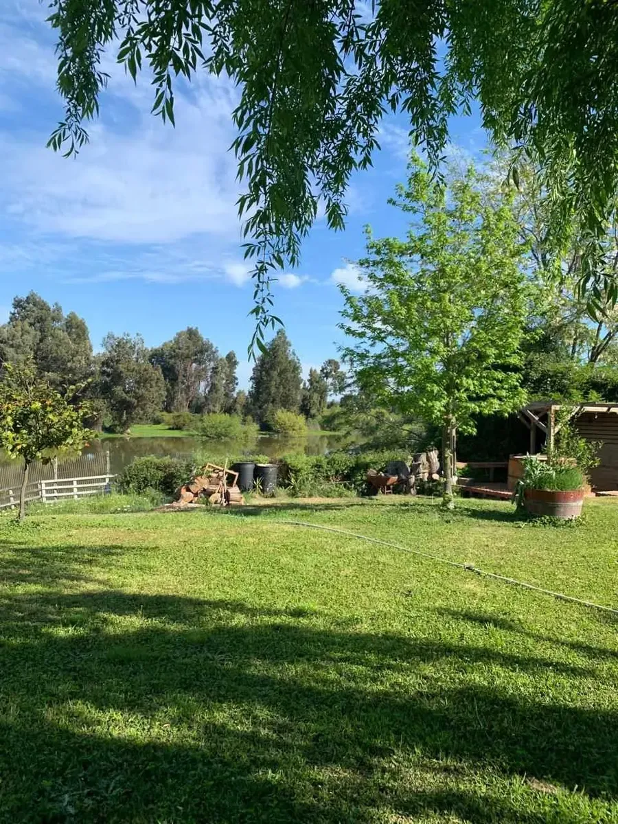 Imagen 4 de 12 de Parcela Con Acceso Al Lago + 2 Cabañas (172503)