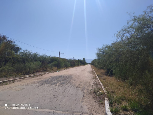 Imagen 6 de 14 de Terrenos En Venta En San Luis