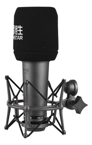 Micrófonos Con Grabación Takstar Xlr Recording Sm-10