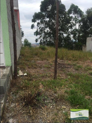 Terreno À Venda, 138 M² Por R$ 135.000,00 - Jardim Santo Antonio - Franco Da Rocha/sp - Te0106