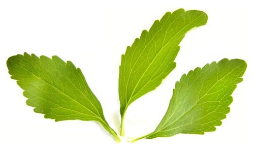 Stevia. Hojas Verdes Enteras Deshidratadas (25kg.)