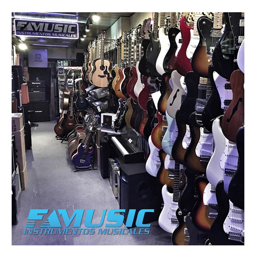 Imagen 9 de 10 de Violin Electrico 4/4 Incluye Arco Y Estuche