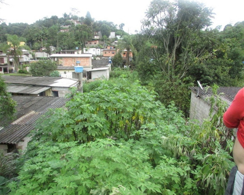 Imagem 4 de 15 de Juquitiba/terreno Para Moradia. - 04592 - 33229226
