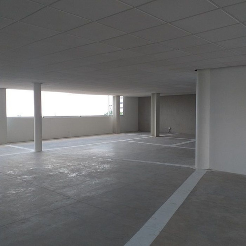 Oficina En Renta Milenio Iii Queretaro Piso 1
