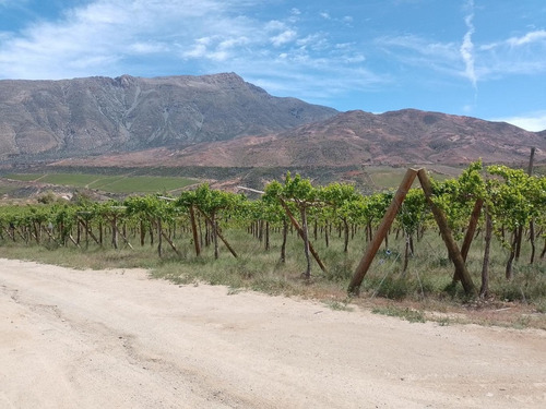 Imagen 3 de 20 de Predio Agua Amarilla, Monte Patria